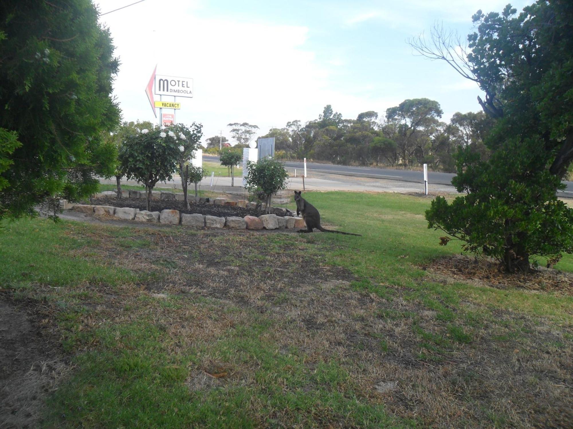 Motel Dimboola Exteriör bild