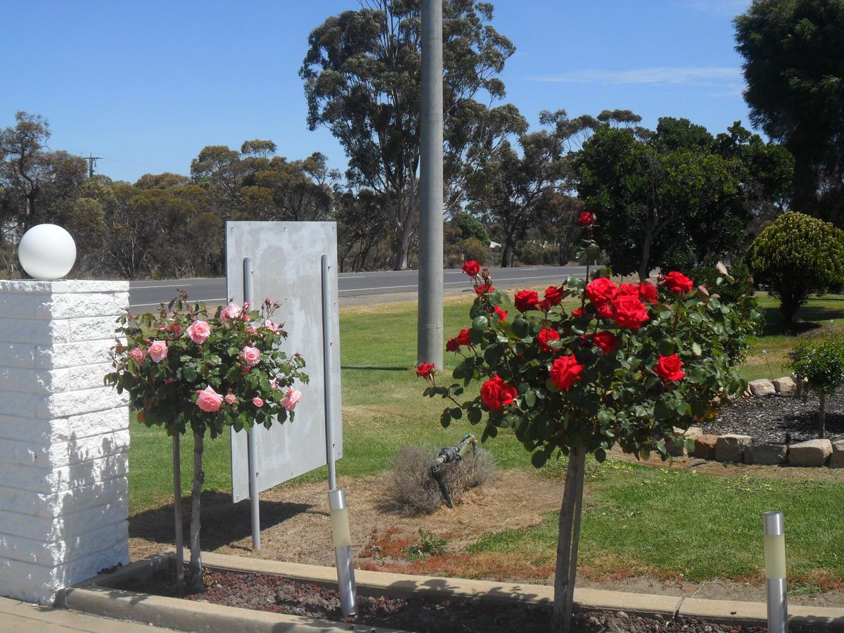 Motel Dimboola Rum bild